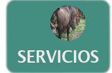 CIACU servicios